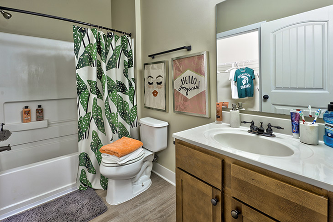 bathroom - The Lodges of East Lansing Apartments