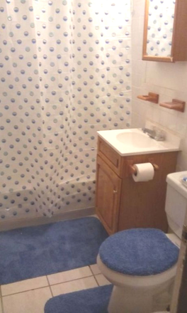 Bathroom - 3 Bedroom Apartment for Rent Available Now by the Red Line