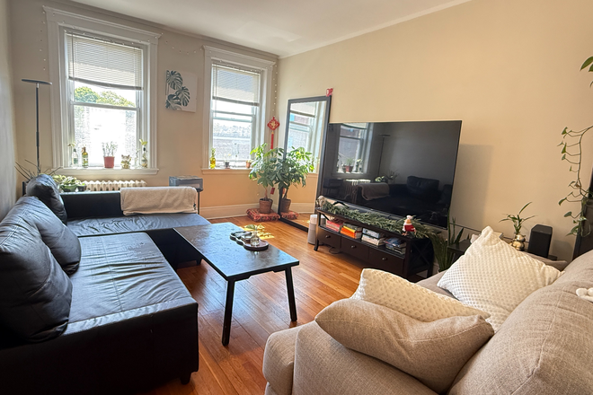 living room - Sunny Cleveland Circle 2 bed with balcony and updated kitchen - NO FEE