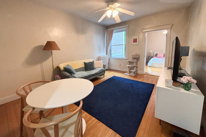 living room - Sunny top floor Coolidge Corner 1 bed - NO FEE!