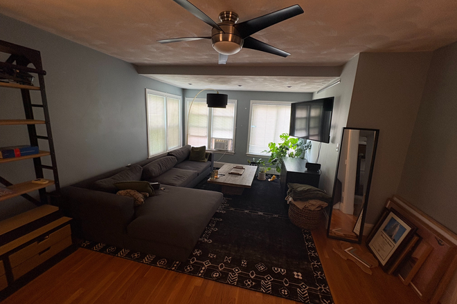 living room - 1 bedroom near Davis Square Duplex