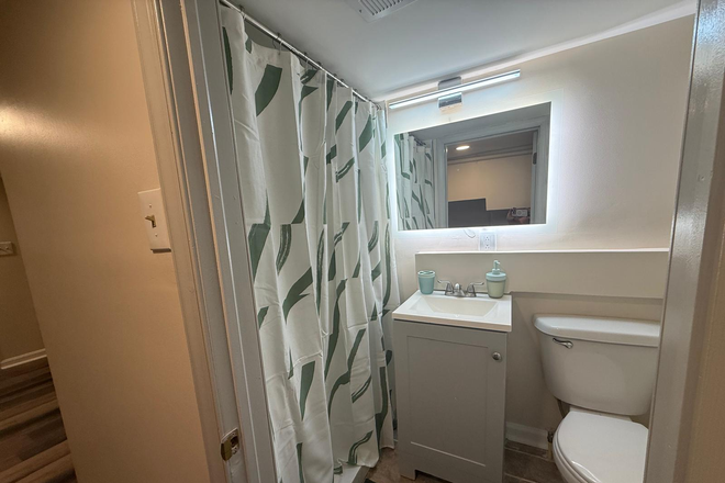 Basement Bathroom - Shower - Peaceful, Well-Located Rowhome Near Hopkins & Bayview