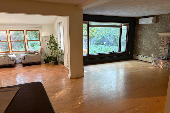 Living room - Comfortable home walking distance to UConn, fitness center, groceries, public transportation