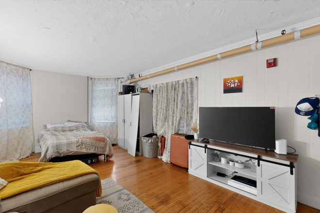 a - Large and in charge Apartments