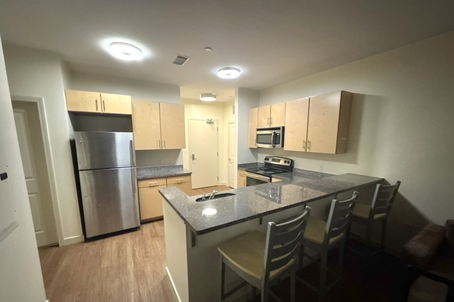 Kitchen - Summer Sublease in Luxury Building, Great Location