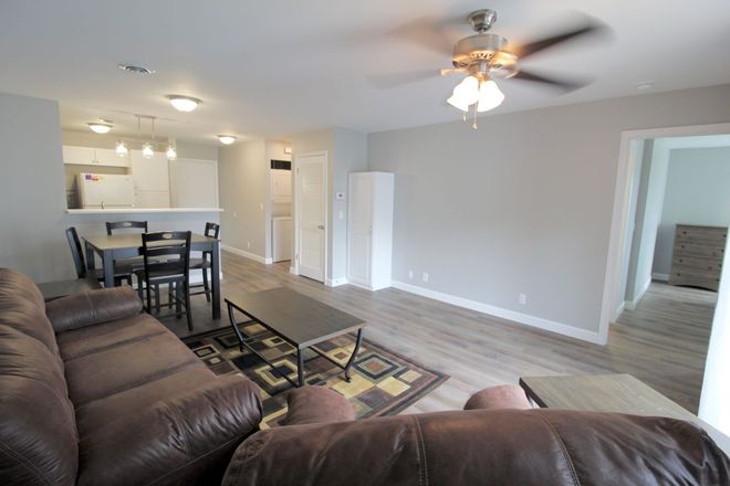 Living Room - Remodeled 3 Bed/3 Bath Condo Walkable to JMU!