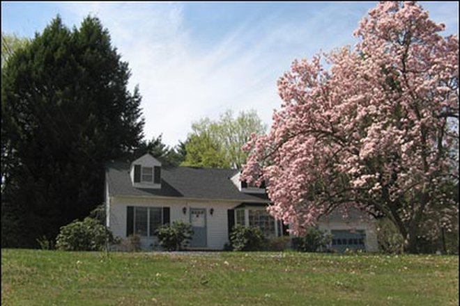 South Amherst home for rent with great outdoor spaces! - Lovely 2 bedroom home in Amherst on tree-lined street
