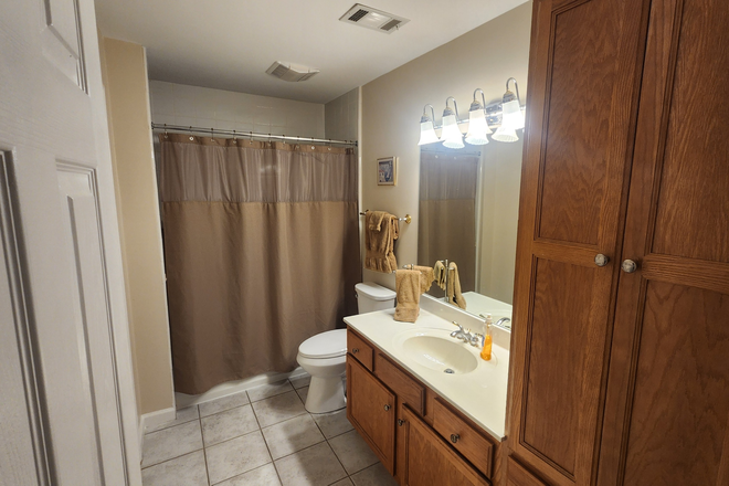 Bathroom - Lakeview Apartment