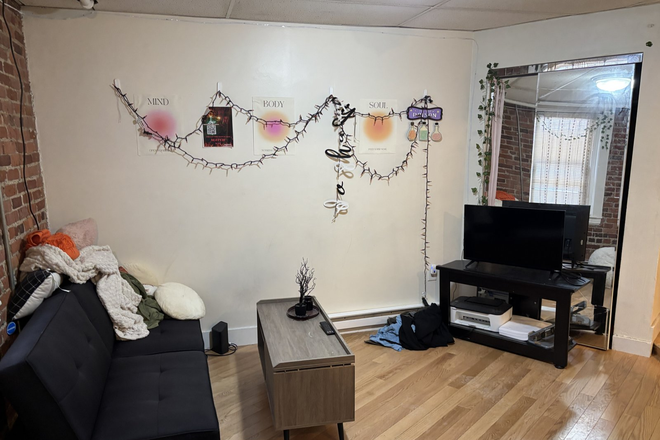Living Room - Nice 2 Bed 1 Bath Apartment Available 9/1/26 on Haviland St