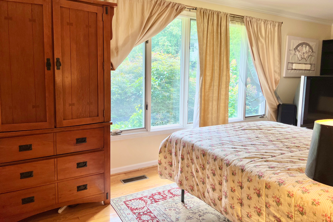 Beautiful window with lots of light - Huge Apt. 1 Bedroom Upscale Area