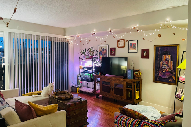 Living Room - Shared North Boulder Apartment