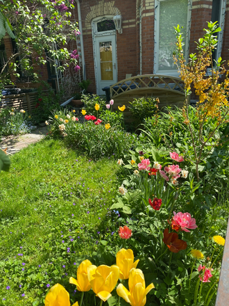 The front yard of the house - Private Room + house to share