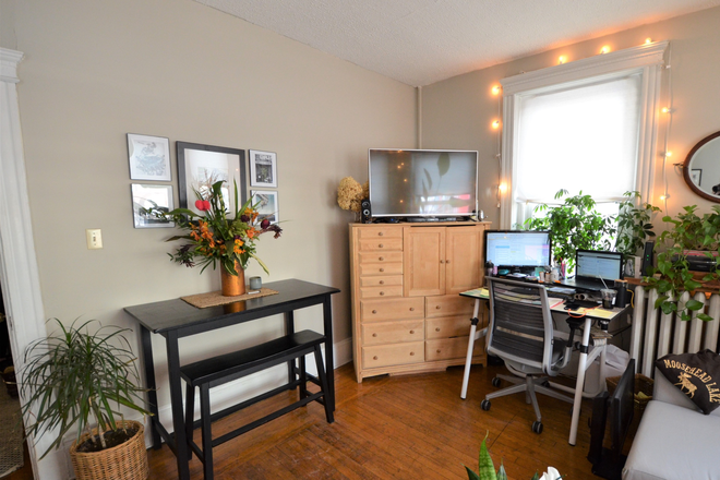 . - Renovated Alcove Studio on Peterborough St- Avail 9/1 Apartments