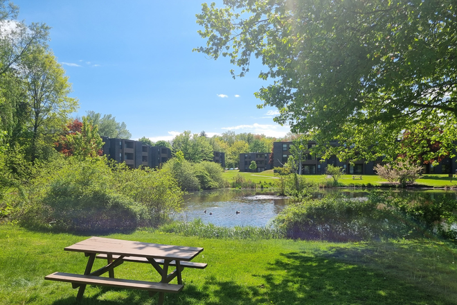 The area just outside our building. - 9 Brandywine Dr (fully furnished!) Apartments