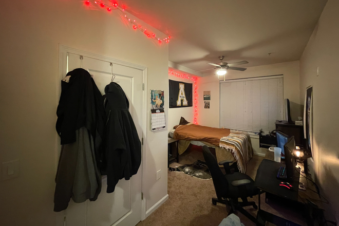 Bedroom, Step in closet to the left, bedroom space on the right. Directly behind is a decent size storage closet. - The Standard at Boone