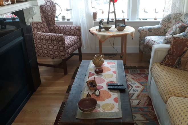 first floor living room - Charming new house with rose garden in front and patio in back, close to campus