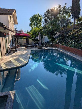 Backyard with Pool - Beautiful home w/pool and a 10-minute commute to/from campus!