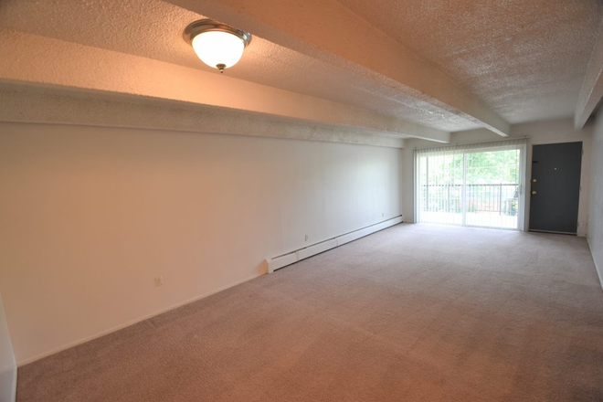 Living Room - 1 Bed / 1 Bath (Mountain view, Close to Campus)