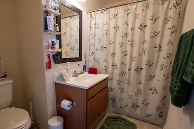 Bathroom, this photo is off of the website, but bathroom that comes with listing is bigger - Yugo Grove Apartments