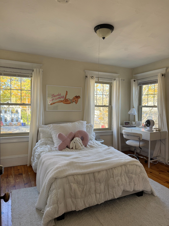 Representative of all 4 bedrooms with great natural light! - Spring 2026 Sublet -- 4 rooms available!