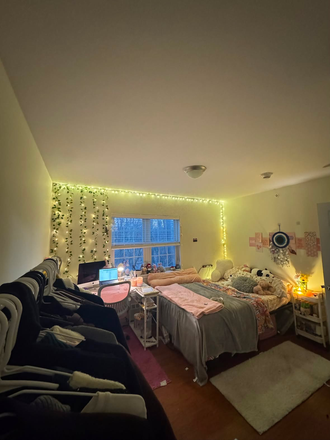 This is the bedroom, there is also a closet behind where I'm standing in this picture. - Bedroom/Living Room in Presidential II Apartment (newer area) Lease Takeover from Fall 2026