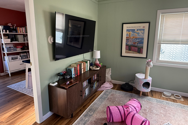 Living Room - Pet-Friendly Home, w/ Fenced in Backyard, in Northampton