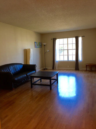 Living room - 1b/1b apartment very close to campus! $1050/mo