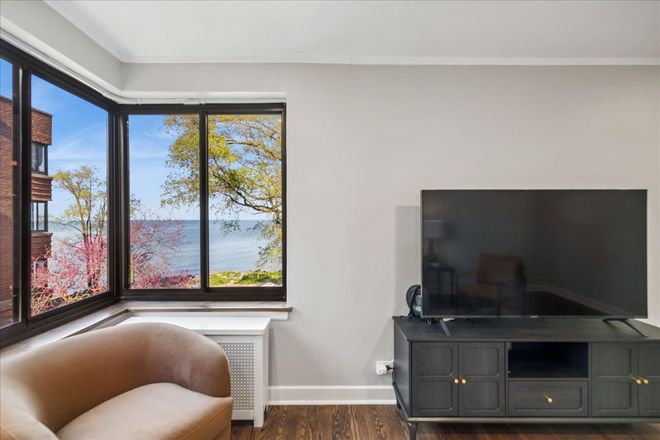 Living room view - Furnished 1 bed apt - 6-9 month flexible lease - NWU Shuttle 1/2 block away