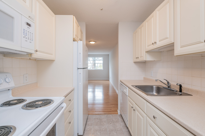 kitchen - **NO BROKERS FEE!* 2 Bed/1 Bath available 8/1/26!! Apartments