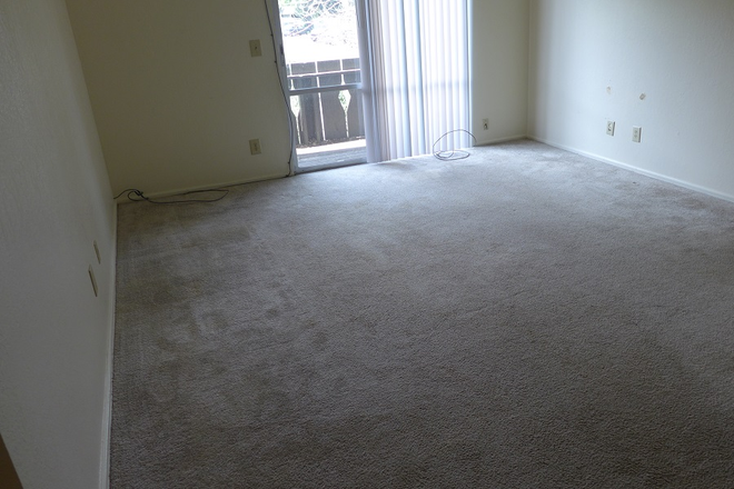 3 - Fabulous Top Floor, Pet-Friendly 1 Bedroom Apartment! Available August 5th!