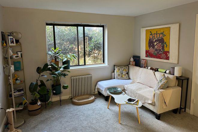 Living room - Room for rent in 2b1b