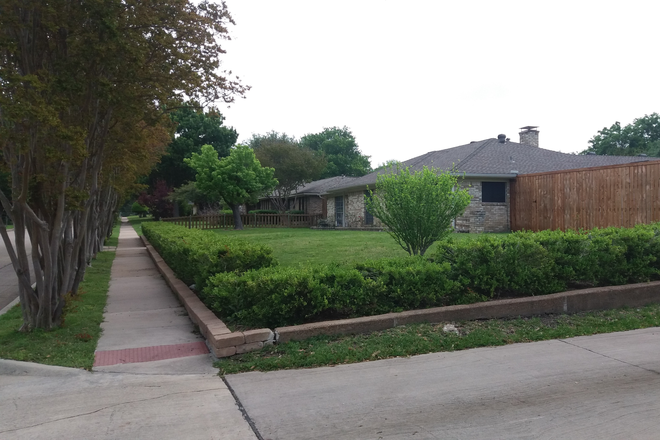 Front yard - House sharing