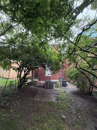 Backyard - Off campus house, prime location, 2 parking off-street spots