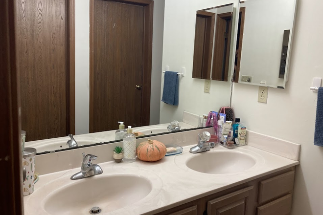 Two Sinks- one for each resident - 420 S Chauncey Ave Apartments