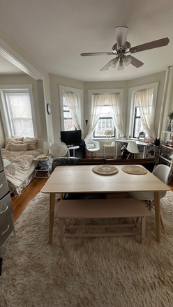 Living Area + Bedroom Nook - Spacious Studio Summer Sublet Near Northeastern – Flexible move-in April/May