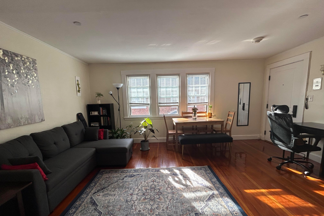 Living Room - Cozy 1 Bed / 1 Bath Apartment Near Harvard Square, Winter Sublet
