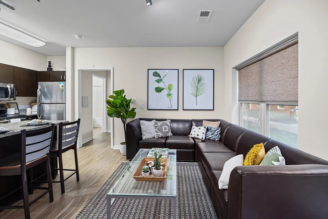 Living room and Kitchen - Chauncey Square Apartments