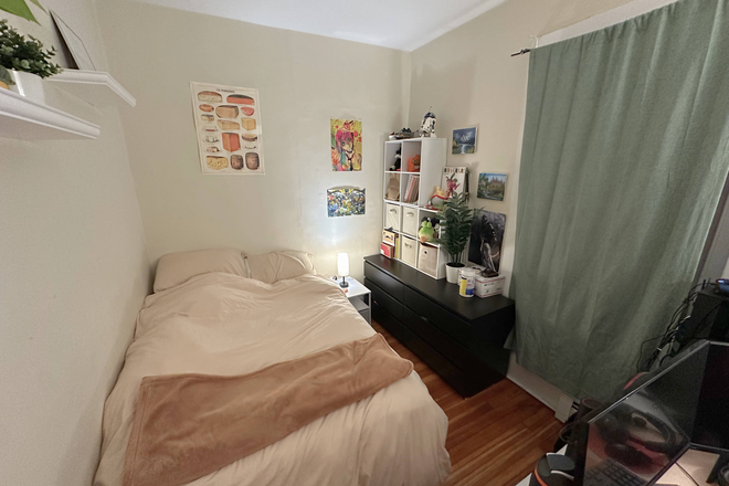 Bedroom - (AVAILABLE JANUARY-AUGUST) Well-lit, fully furnished bedroom in 4 bed 2 bath apartment