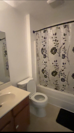Upstairs bathroom (Shared) - 3 Bedroom Home, 2.5 bathrooms for rent. 10 month lease option. Great and quiet location!