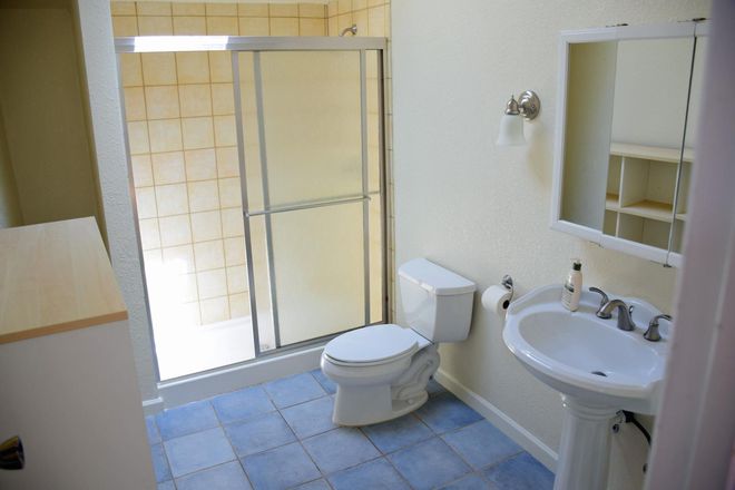 Updated skylit bathroom with shower stall - Sunny Tranquil 1 Bedroom / 1 Bath Backyard Cottage for Rent