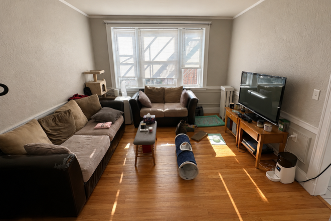 Living room - Heated Spacious Sunny 2 bedroom Condo near Reservoir and Comm ave "T"