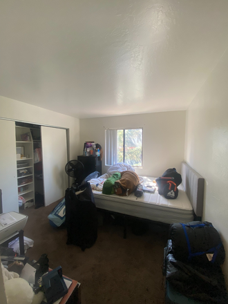 Bedroom - University Square (1 Roomate Needed)