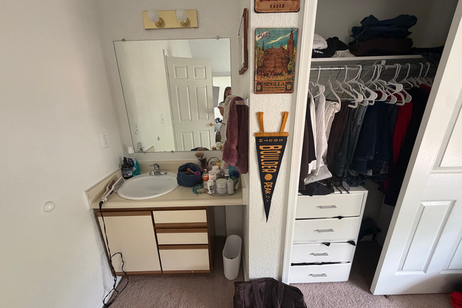 sink/closet - Room Available for Sublease 2027