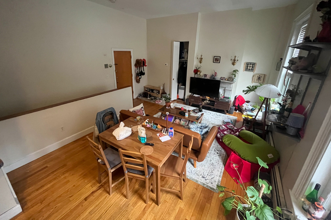 Living room shot 1 - Single bedroom in a homey south end 2-bed duplex apartment