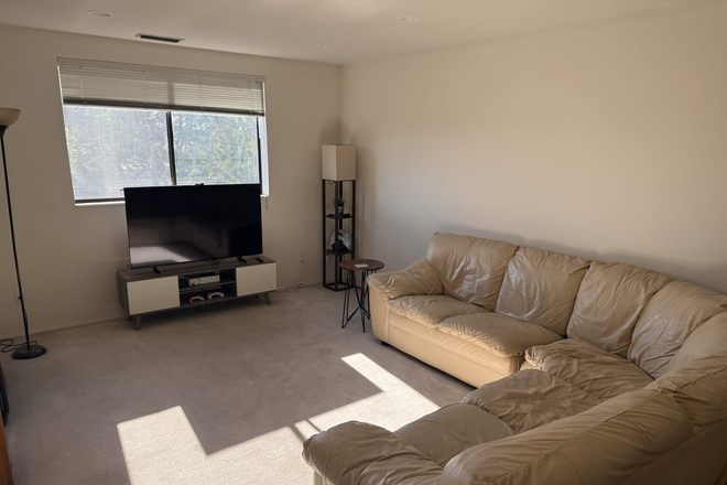 Living room - Looking for roommate for appartment Apartments