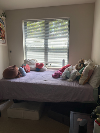 Bed - The Varsity Apartment Complex (~June 1st-July 31st)
