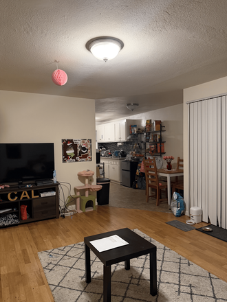 Living Room - Apartment close to campus