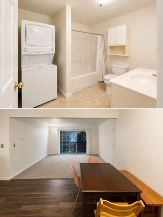 Bathroom and living room - Close to UVM 2Bed1Bath apartment *Heat included*