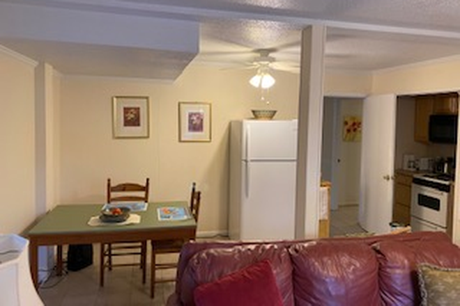 Dining area - Furnished 1BR apartment, quiet safe neighborhood, T bus line, 3 miles from UNC Campus