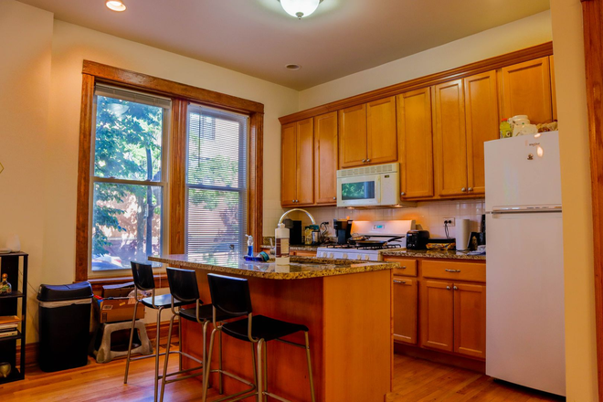 kitchen 02 - 728 South Laflin St, Apt #1M | 3 Bed 2 Bath | Sublease or Rent